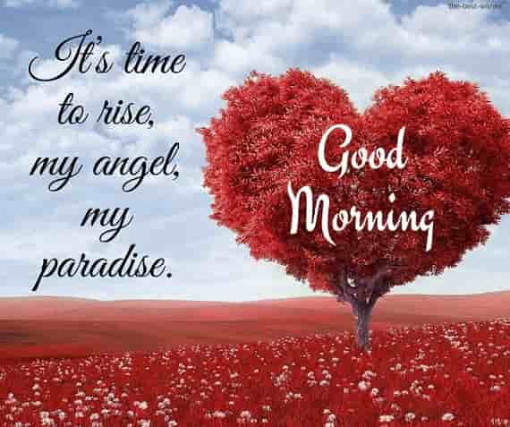good morning msg with heart tree