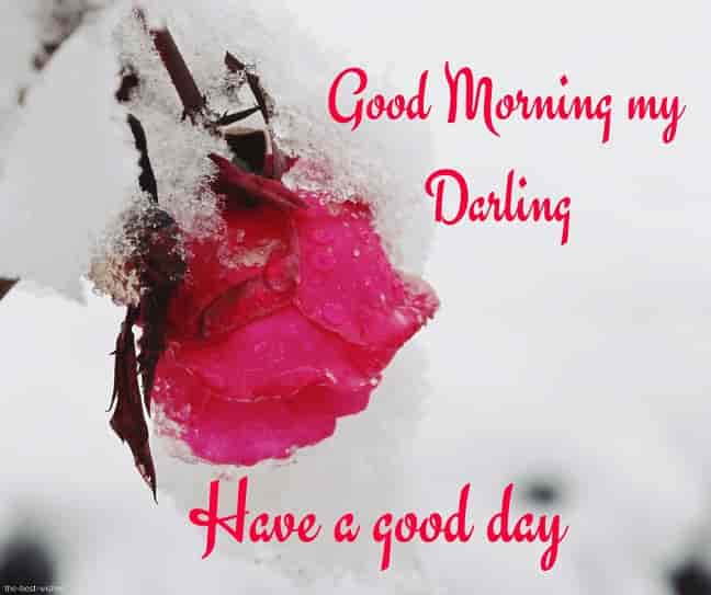 good morning my darling have a good day