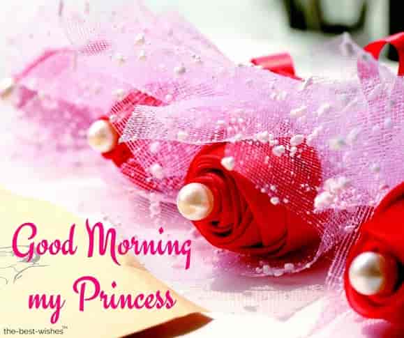 good morning my gorgeous princess