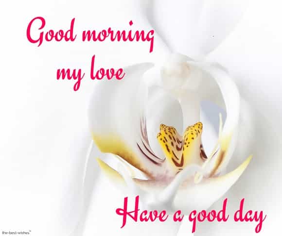 good morning my love have a good day