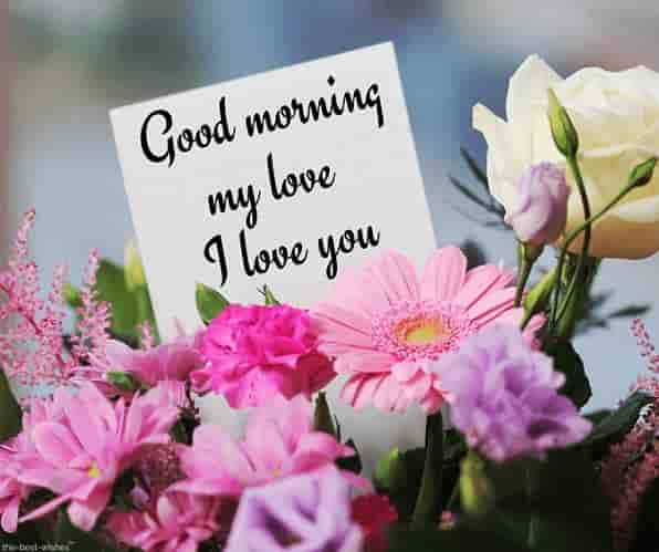 good morning my love i love you with bouquet