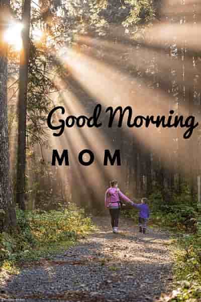 good morning my lovely mother