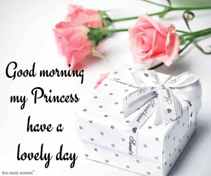 Good Morning Beautiful Princess