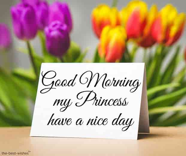 good morning my princess have a nice day