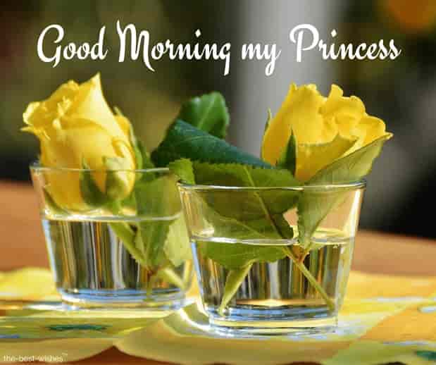 good morning my princess images