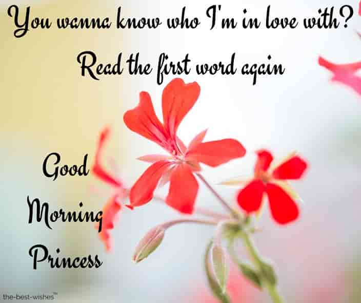 good morning my princess text