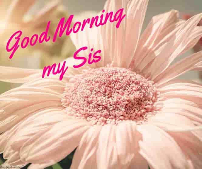 good morning my sis images