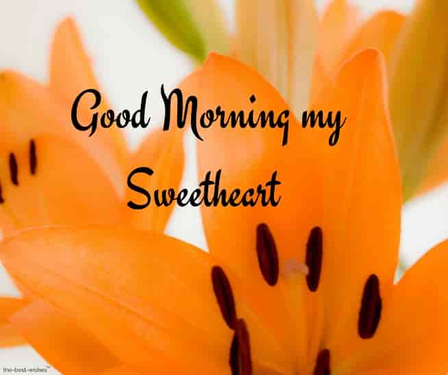good morning my sweetheart with orange flower