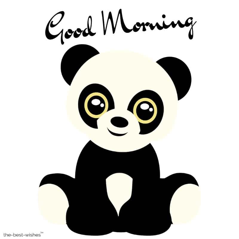 good morning panda image