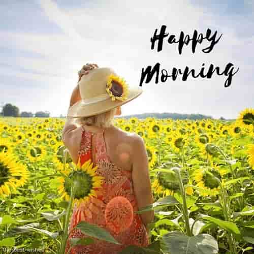 good morning photo with sunflowers