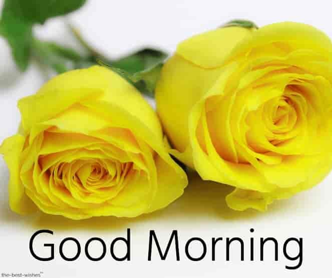 good-morning-pictures-with-yellow-roses