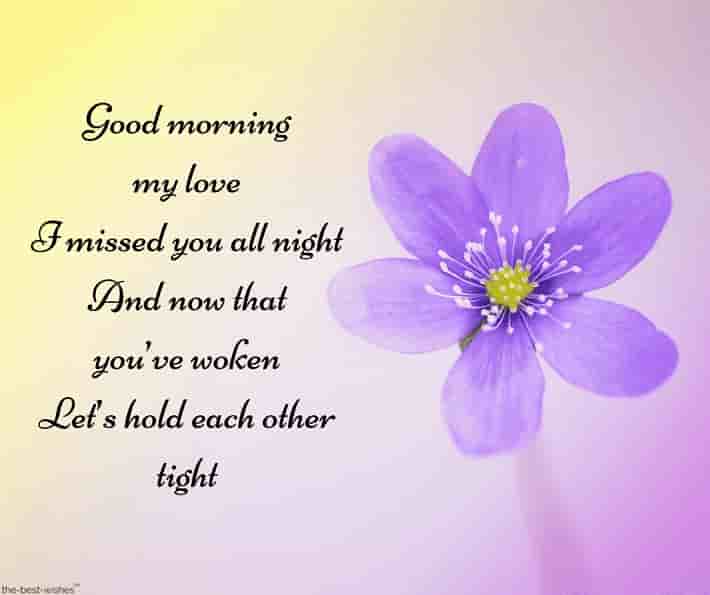 good morning poem for my love with purple flower