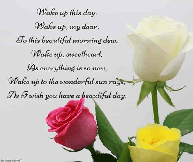 good morning poems for her with roses