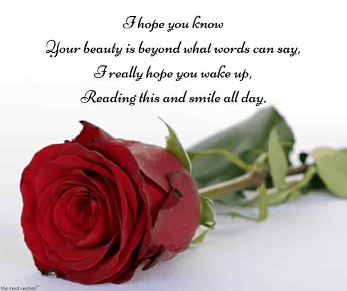 good morning poems to make her fall in love with red rose