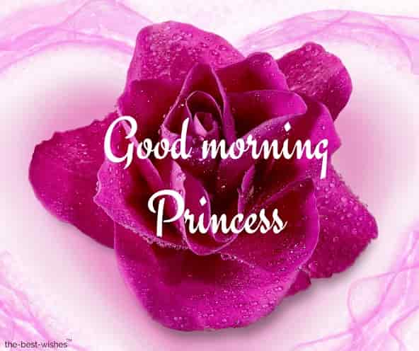 101 Good Morning Princess Images Messages Best Wishes 