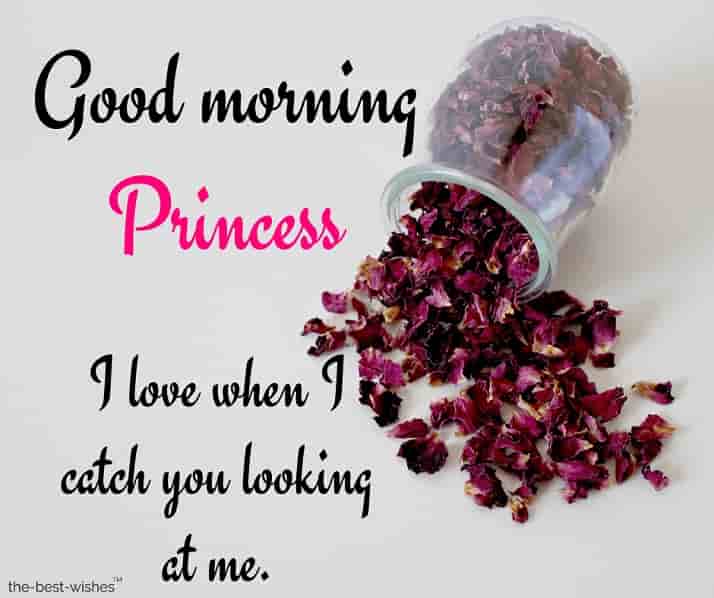 good morning princess status