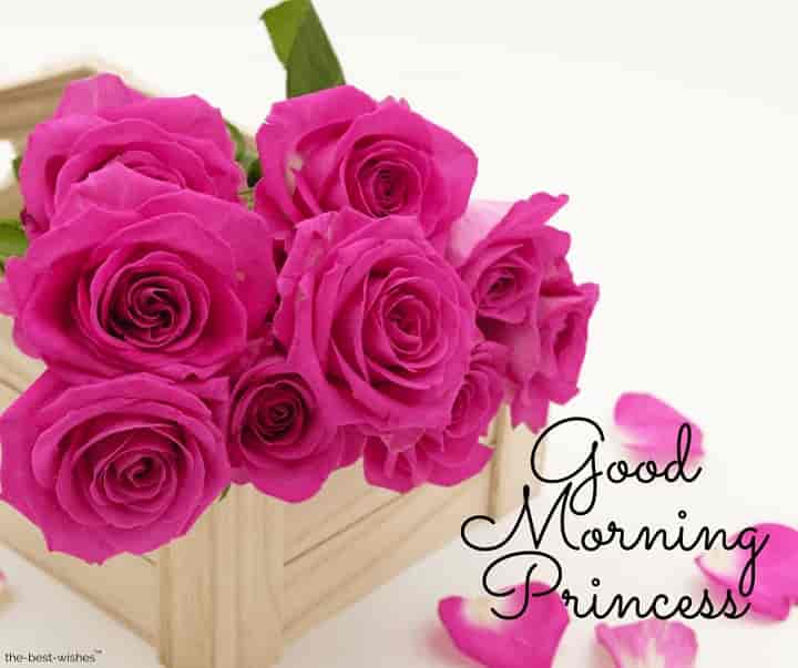 good morning princess with pink roses
