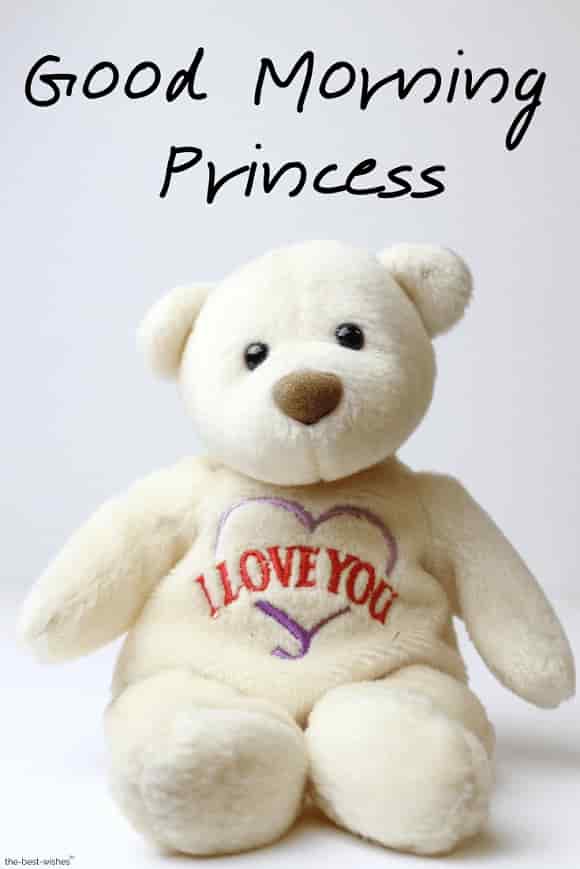 good morning princess with teddy bear