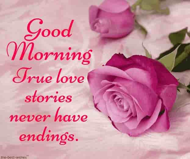 good morning rose images with quotes