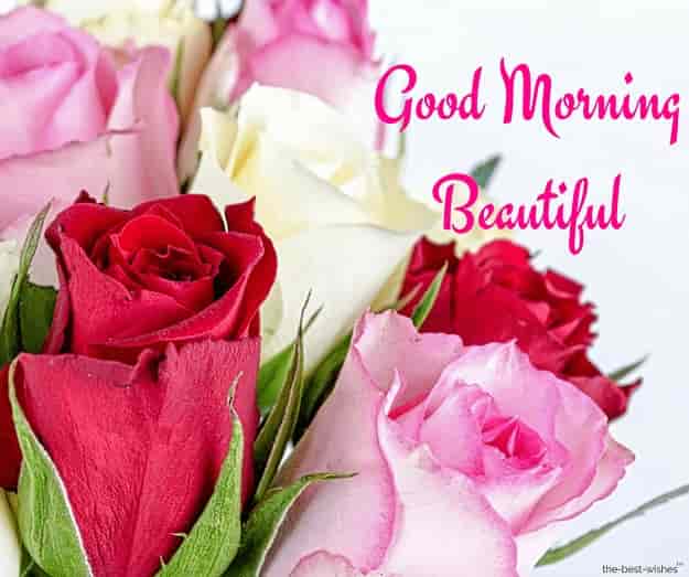 good morning roses for beautiful girl
