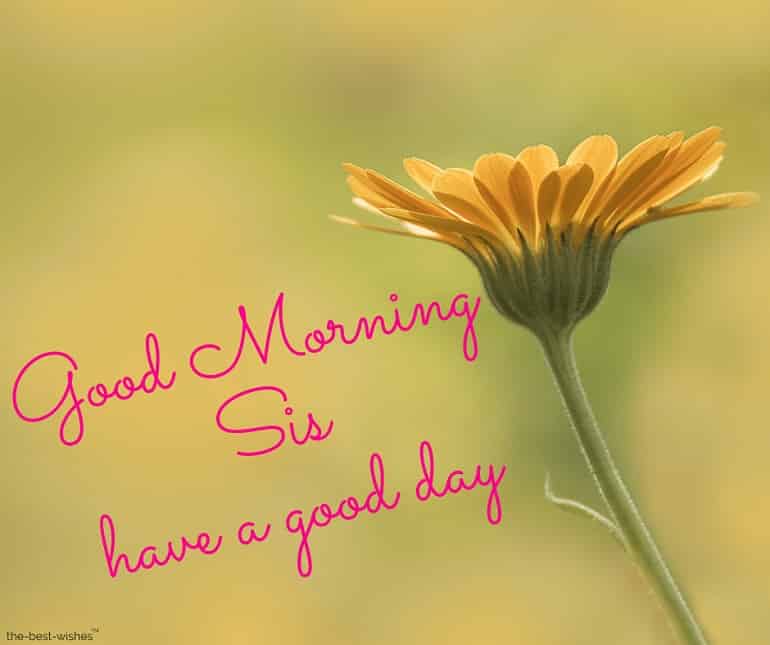 Best Good Morning Wishes For Sister.