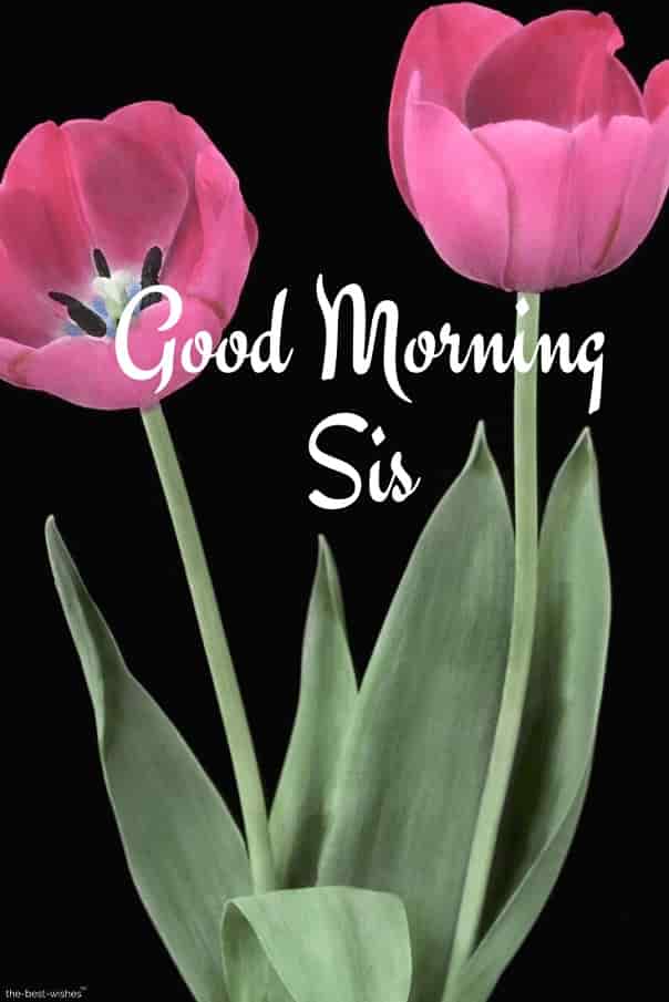 good morning sis hd pictures