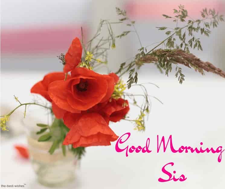 good morning sis picture