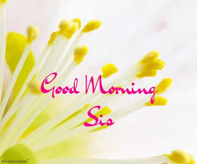 good morning sis pictures