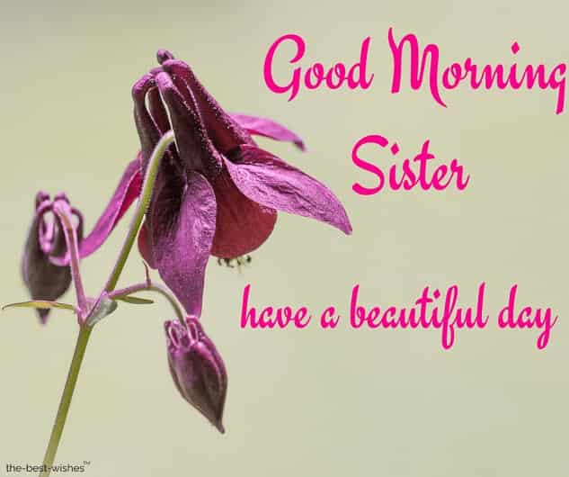 good morning sister have a beautiful day