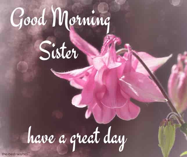 good morning sister have a great day