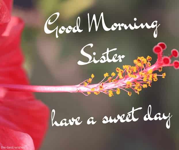 good morning sister have a sweet day