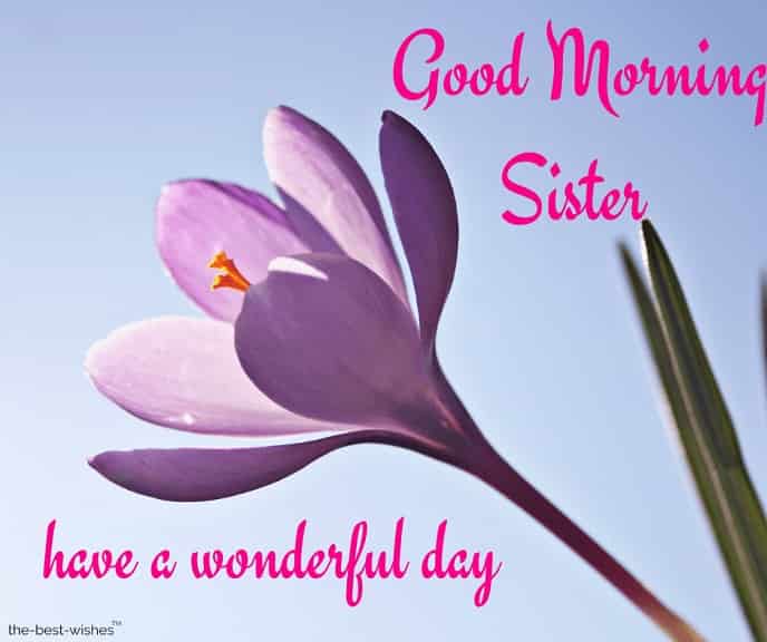 good morning sister have a wonderful day