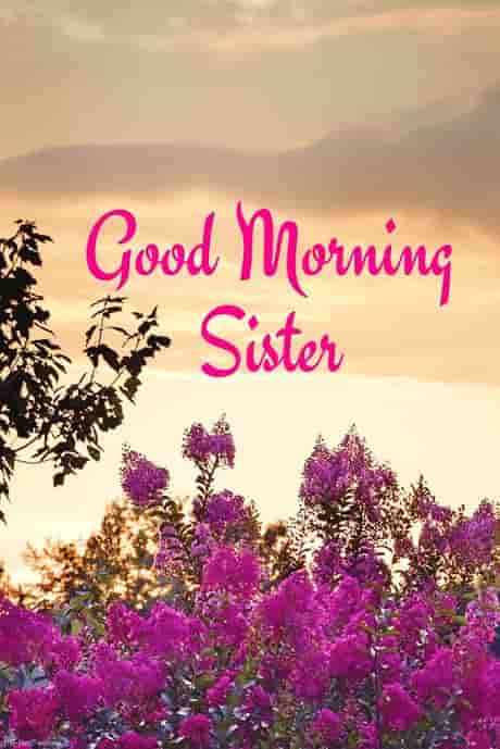 good morning sister image
