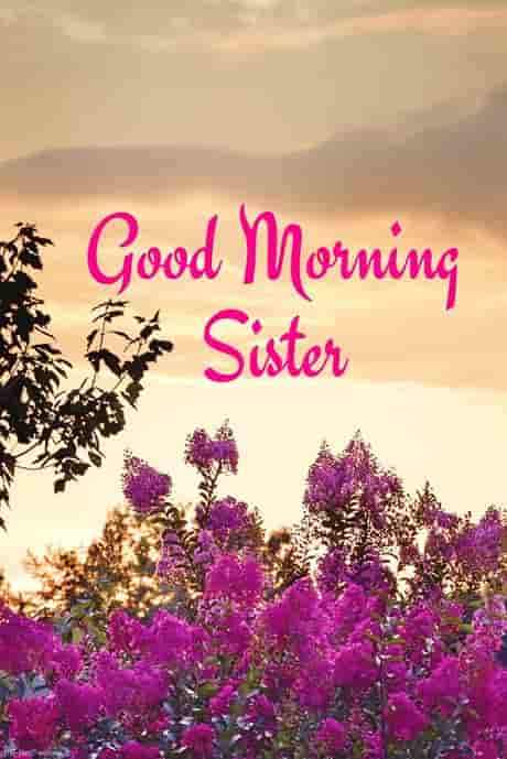 120+ Lovely Good Morning Wishes for Sister [ HD Images and Greetings ]