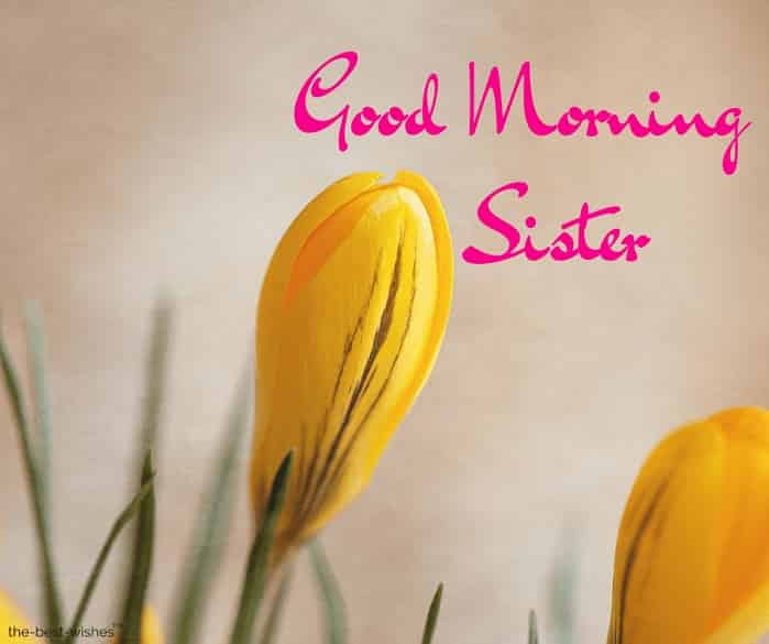 good morning sister ji