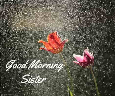 good morning sister rain