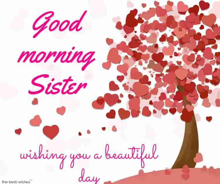 good morning sister wishing you a beautiful day