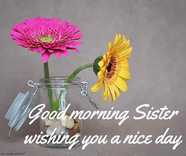 good morning sister wishing you a nice day