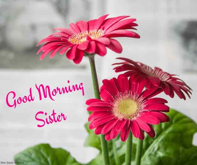 good-morning-sister