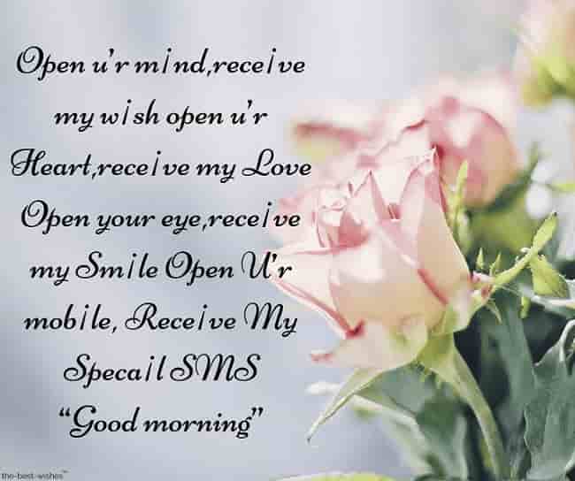 good morning sms messages with pink rose