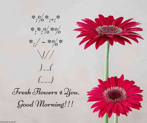 good morning sms with fresh flowers