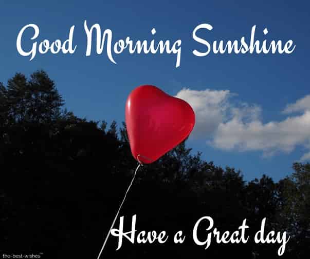 good morning sunshine have a great day
