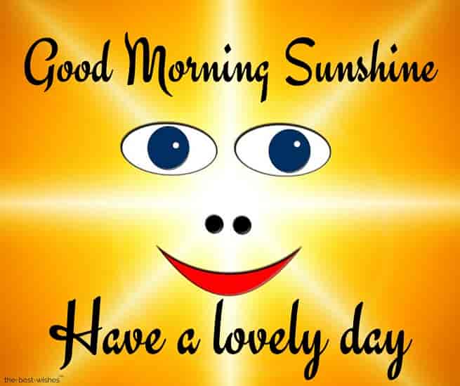 good morning sunshine have a lovely day