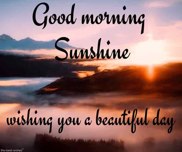 good morning sunshine wishing you a beautiful day