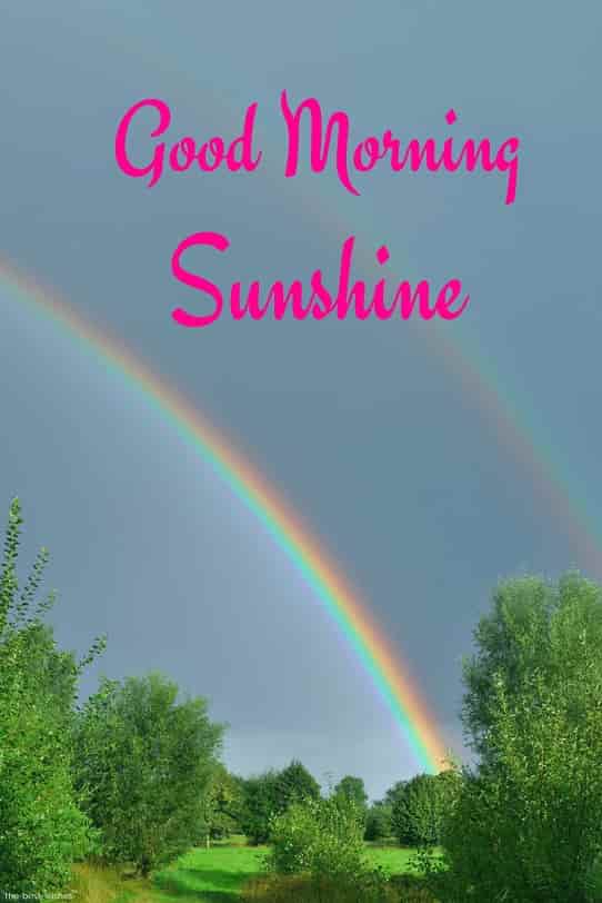 good morning sunshine with beautiful rainbow