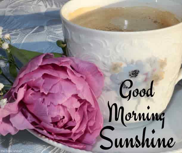 good morning sunshine with coffee and pink flower