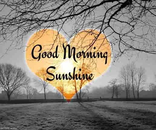 good morning sunshine with sun heart