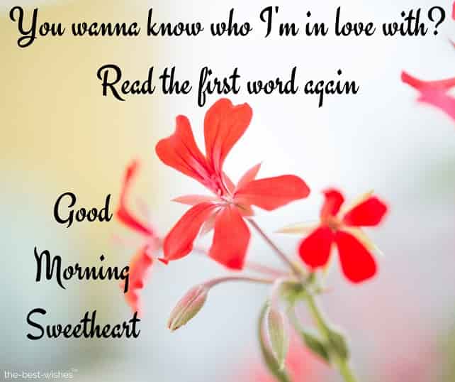 good morning sweetheart love quotes
