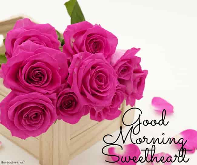 good morning sweetheart roses