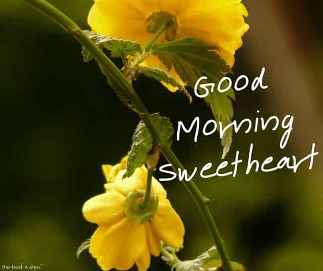 good morning sweetheart with a yellow roses